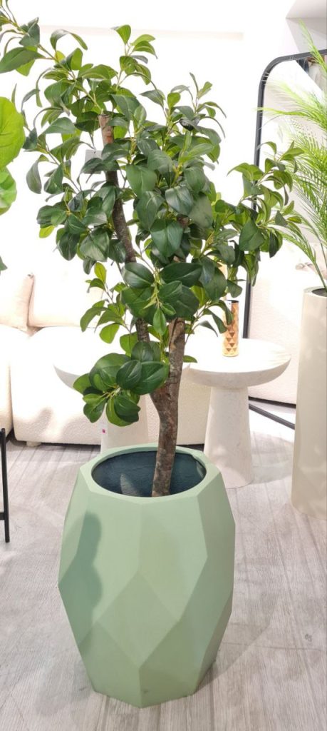 گیاه مصنوعی پیروما تنه‌ دار