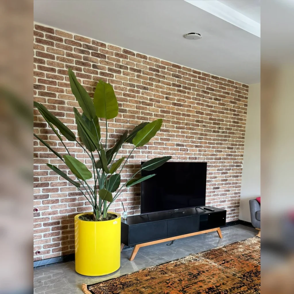 گیاه پرنده بهشتی