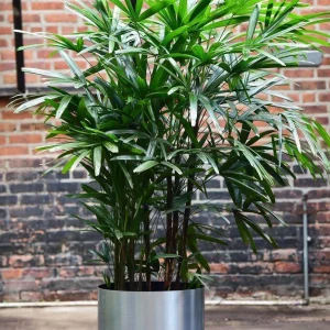 گلدان‌ تک جداره استیل