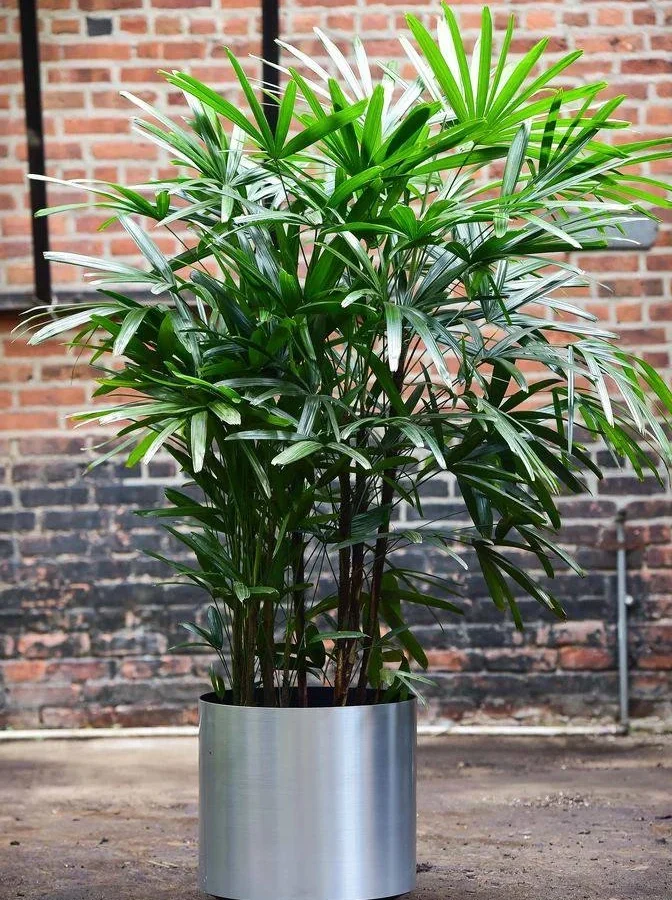 گلدان‌ تک جداره استیل