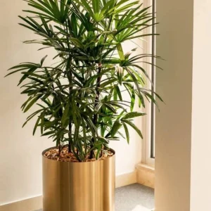 گلدان استیل دوجداره