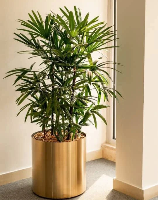 گلدان استیل دوجداره