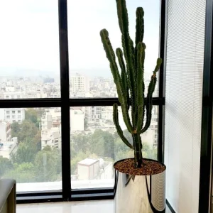 گلدان استیل دوجداره